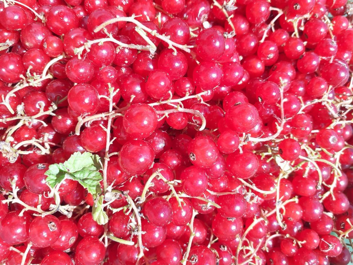 Frühstückspension Ca Gennara Agri