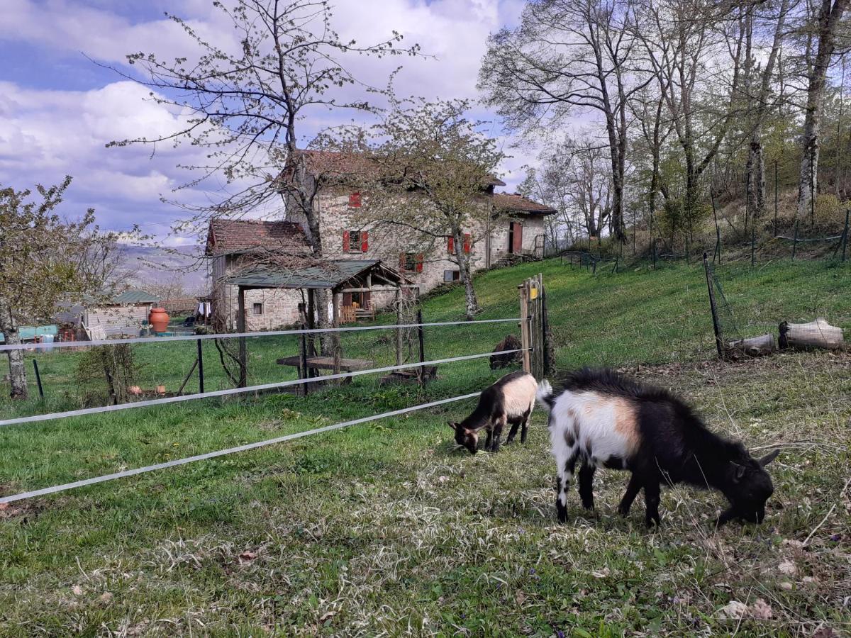 Ca Gennara Agri Frühstückspension 3*