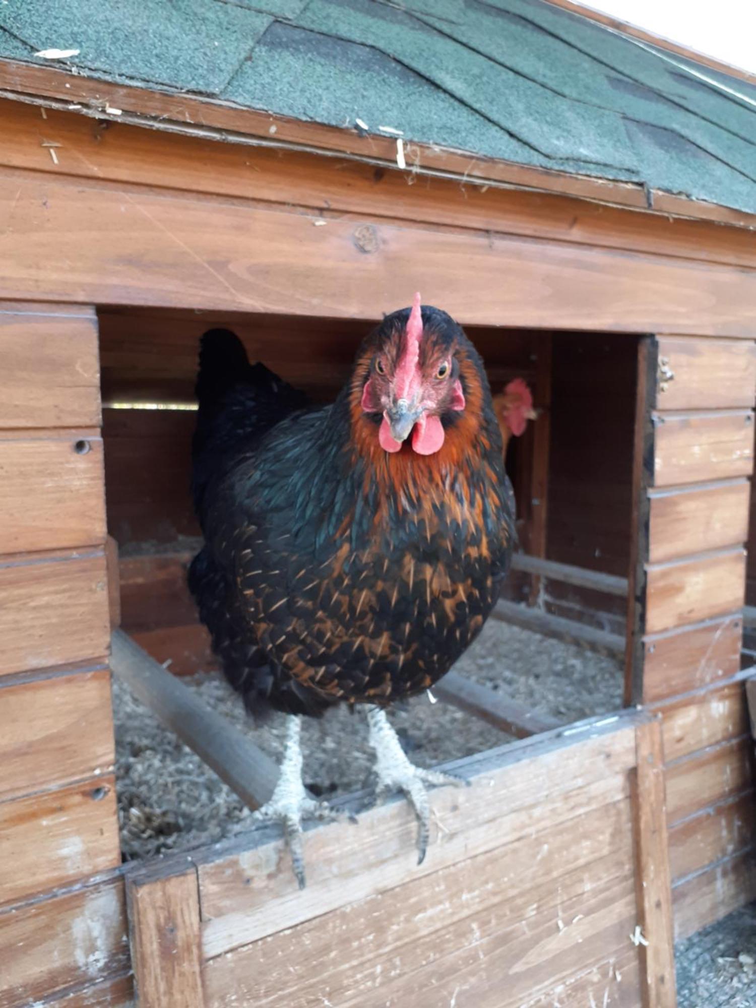 Ca Gennara Agri Porretta Terme