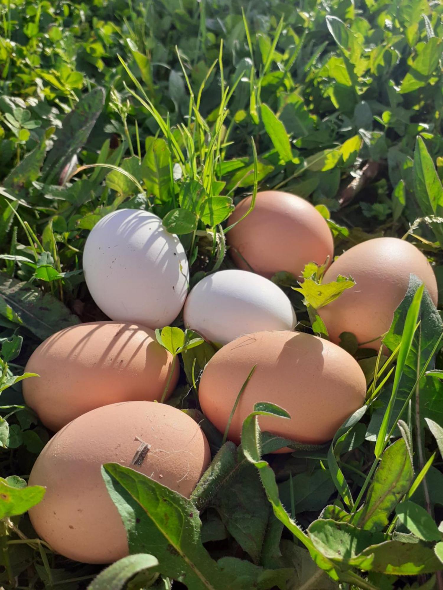 Ca Gennara Agri Porretta Terme